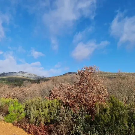Rural Corrales De Aliste
