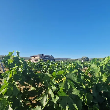 Rural Corrales De Aliste Hotel 4*